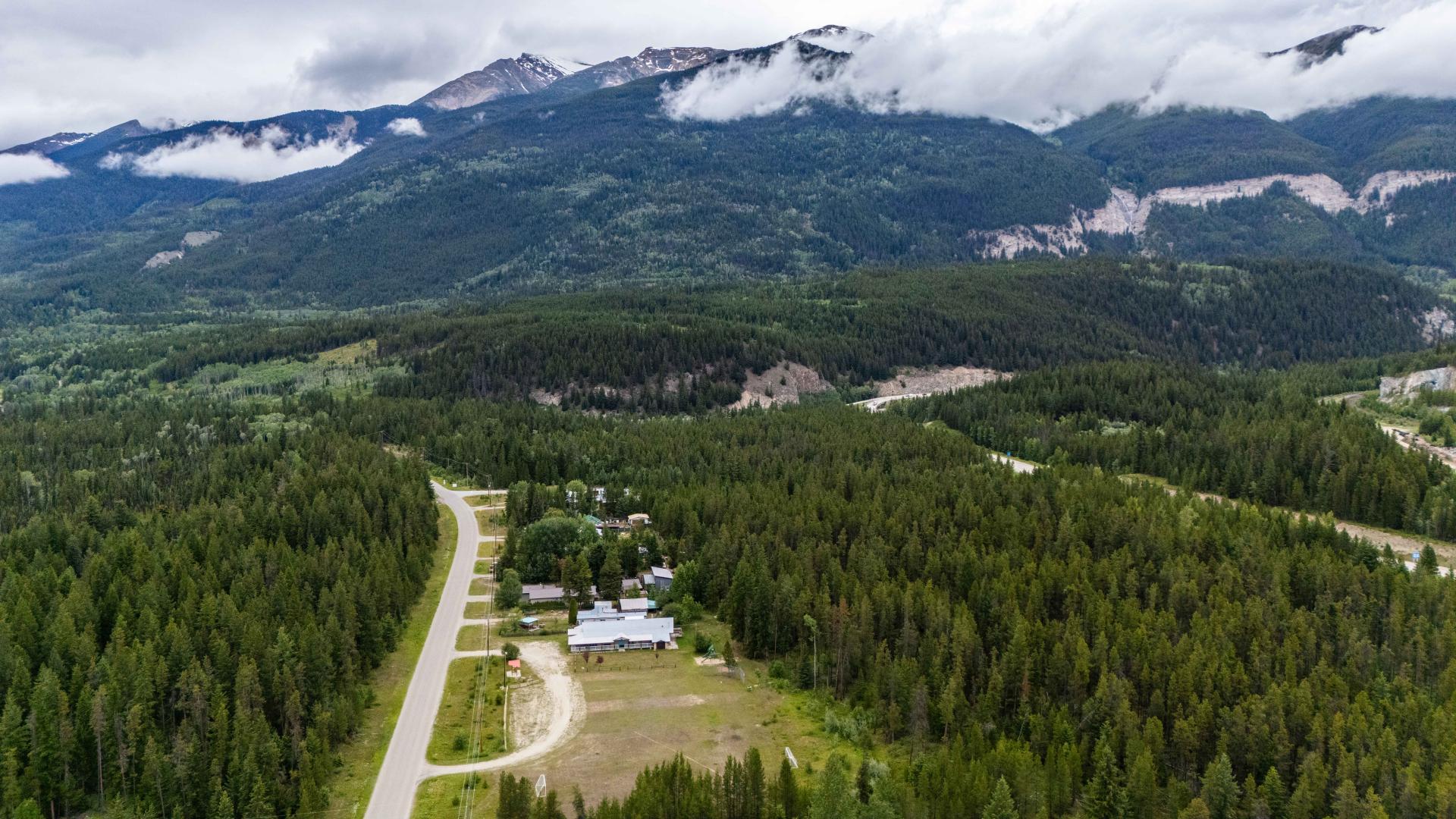 aerial view of trees and mountains