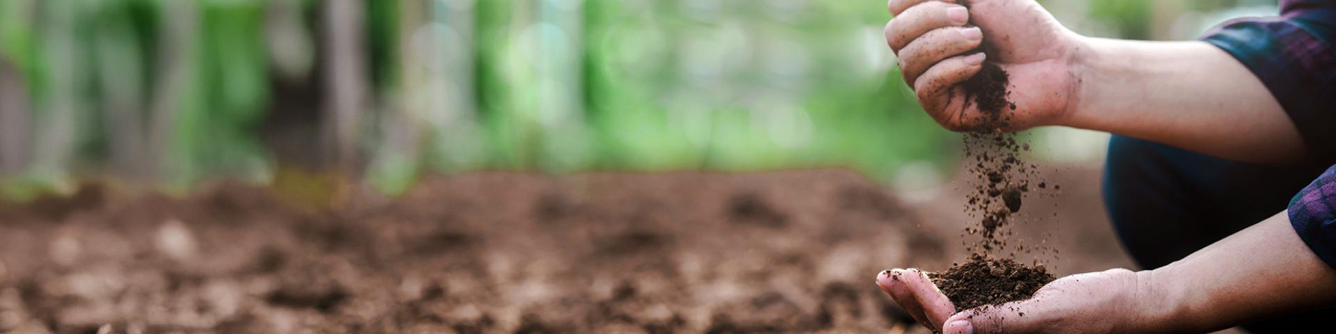 person running their hands through dirt